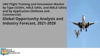 uav flight training and simulation market by type