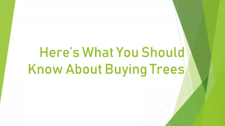 here s what you should know about buying trees