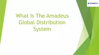 What Is The Amadeus Global Distribution System