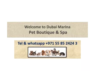 Welcome to Dubai Marina jun