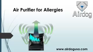 Air Purifier for Allergies | Airdog USA