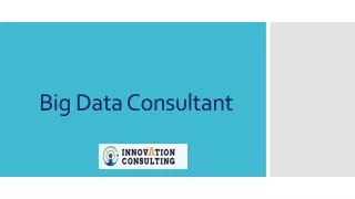 Big Data Consultant