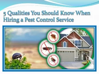 5 Qualities You Should Know When Hiring a Pest Control Service