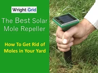 the best solar mole repeller