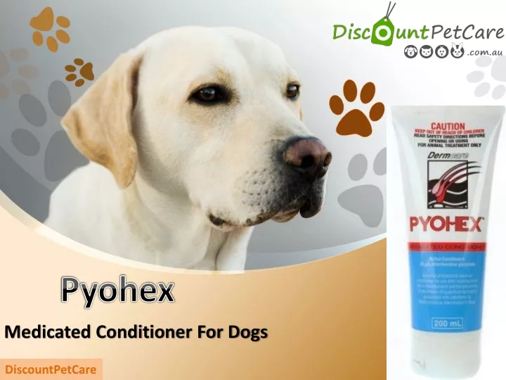 medicated conditioner for dogs