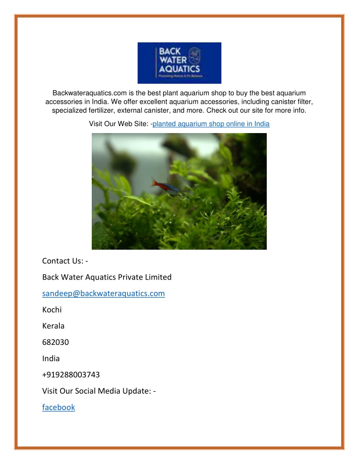 backwateraquatics com is the best plant aquarium