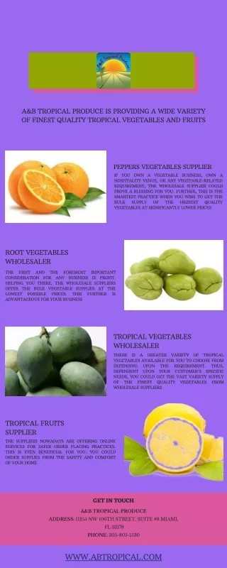 Root Vegetables Wholesaler