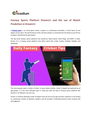 fantasy sports platform dream11