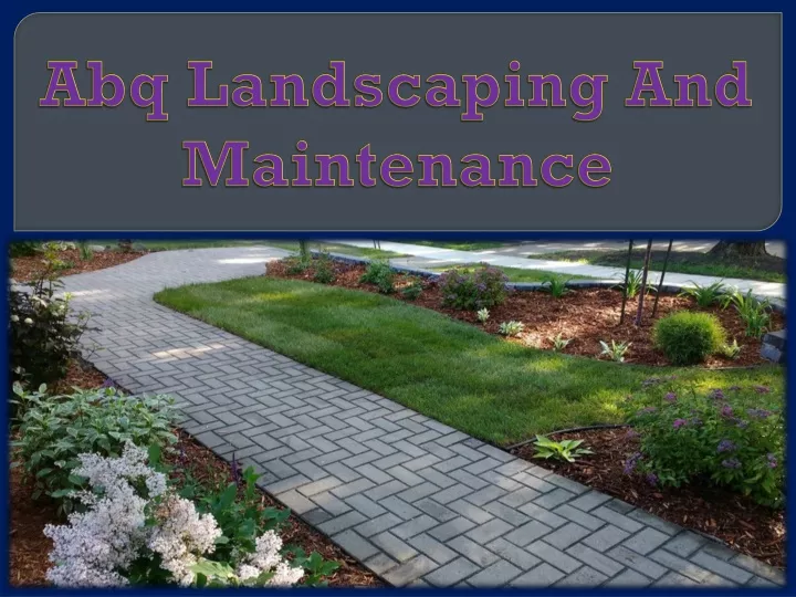 abq landscaping and maintenance