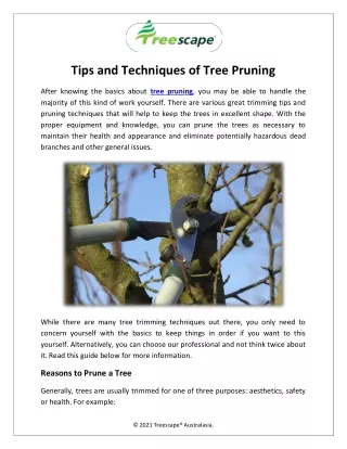 Tips and Techniques of Tree Pruning