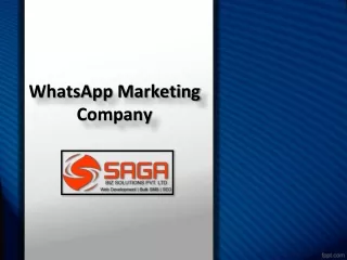 Whatsapp Bulk SMS services in Hyderabad, Whatsapp Marketing in Hyderabad