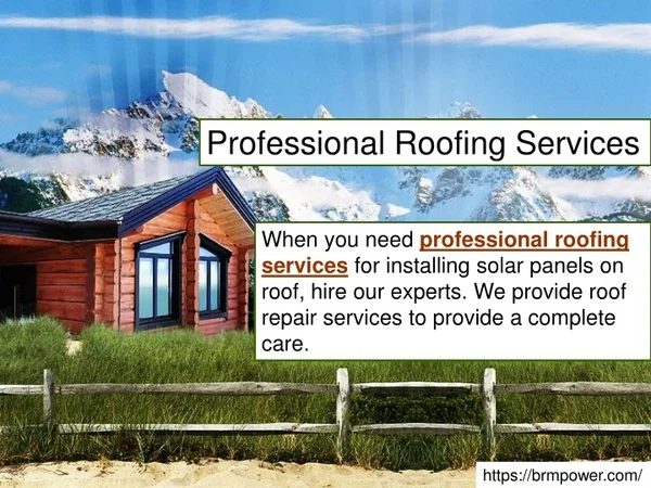 Professional Roofing Services