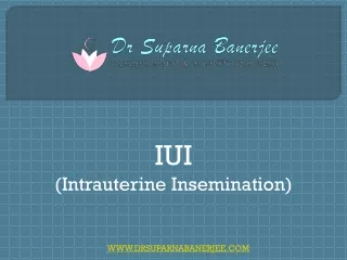 iui intrauterine insemination