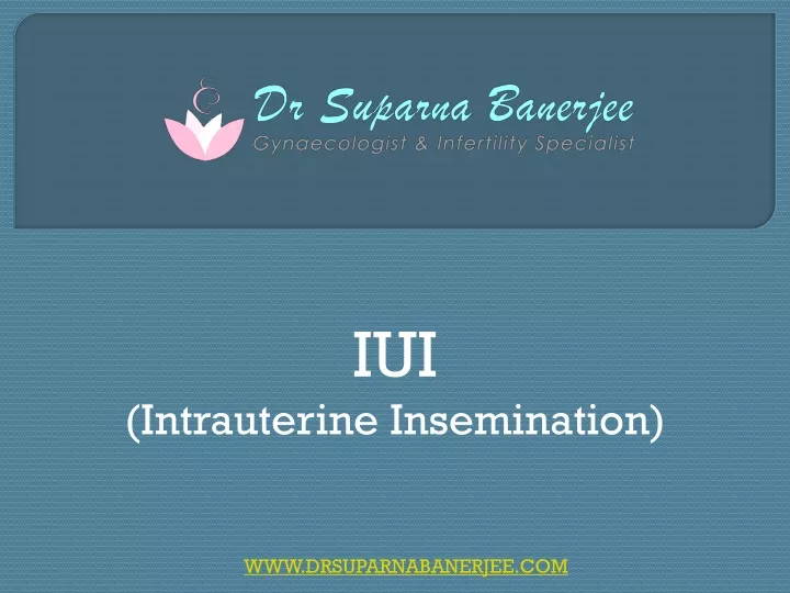 iui intrauterine insemination