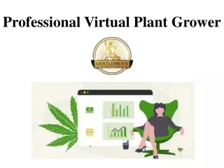 Professional Virtual Plant Grower