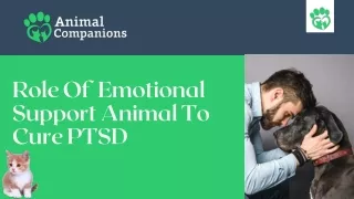 Role Of Emotional Support Animal To Cure PTSD
