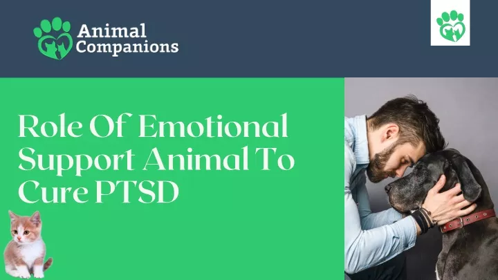 role of emotional support animal to cure ptsd