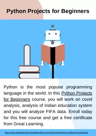 Python Projects for Beginners