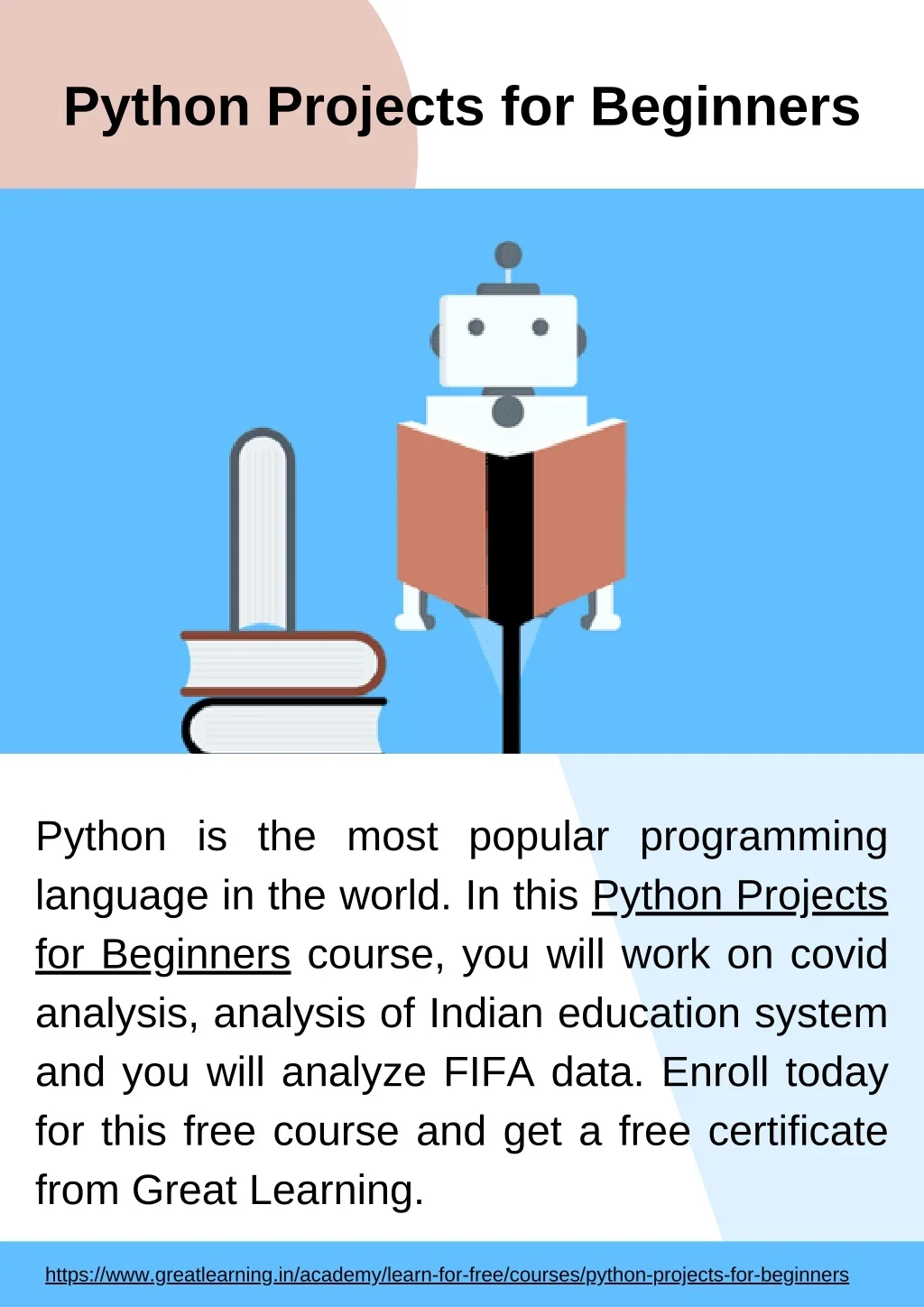 PPT - Python Projects for Beginners PowerPoint Presentation, free ...