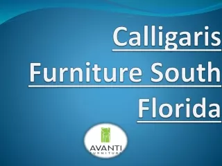 Calligaris Furniture South Florida