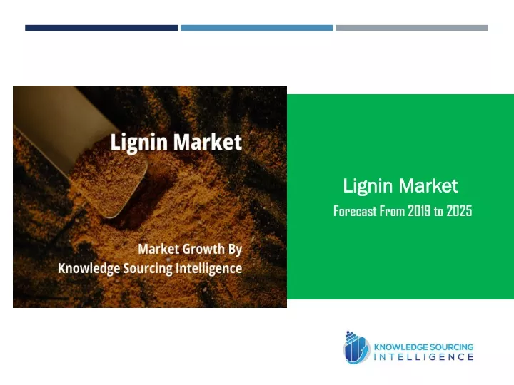 lignin market forecast from 2019 to 2025