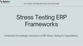 Stress Testing ERP Frameworks