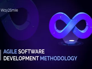 Agile Software Development Methodology Explained: Definition, Types, How It Work