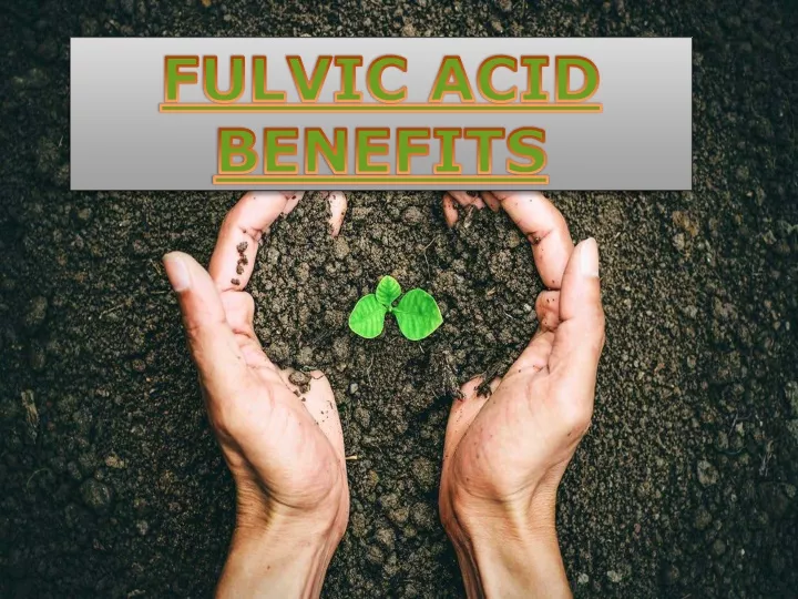 fulvic acid benefits