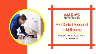 Pest Control Specialist in Melbourne | Get Rid of Pests | Mark's Pest Control