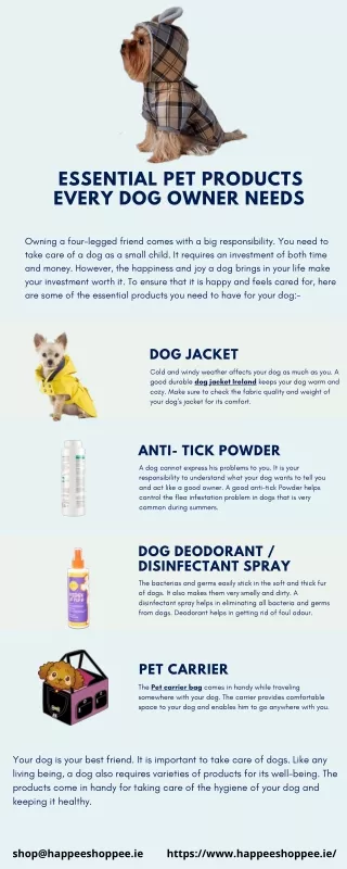 Essential pet products every dog owner needs