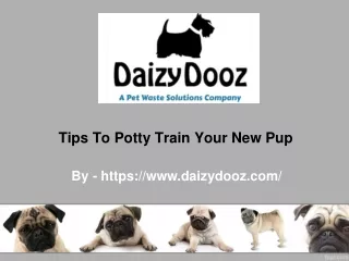 Tips To Potty Train Your New Pup