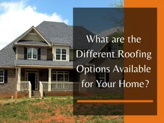 What are the Different Roofing Options Available for Your Home?