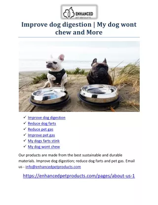 improve dog digestion my dog wont chew and more