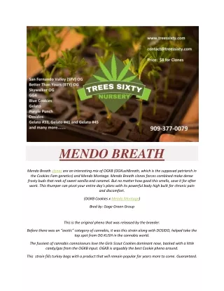mendo breath