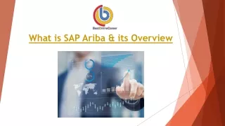 SAP Ariba training pdf | Ariba software training