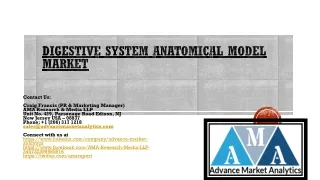 digestive system anatomical model market