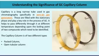 understanding the significance of gc capillary