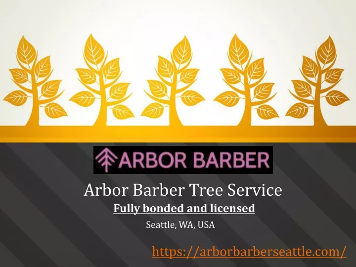 arbor barber tree service fully bonded