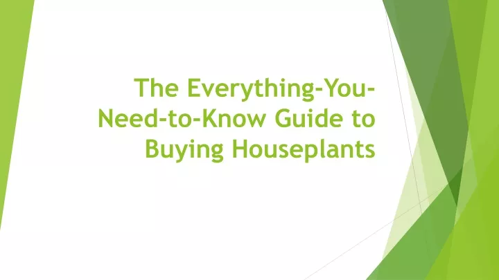 the everything you need to know guide to buying houseplants