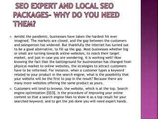  SEO Expert And Local SEO Packages- Why Do You Need Them