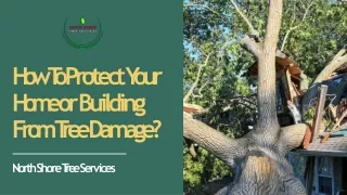 how to protect your home or building from tree