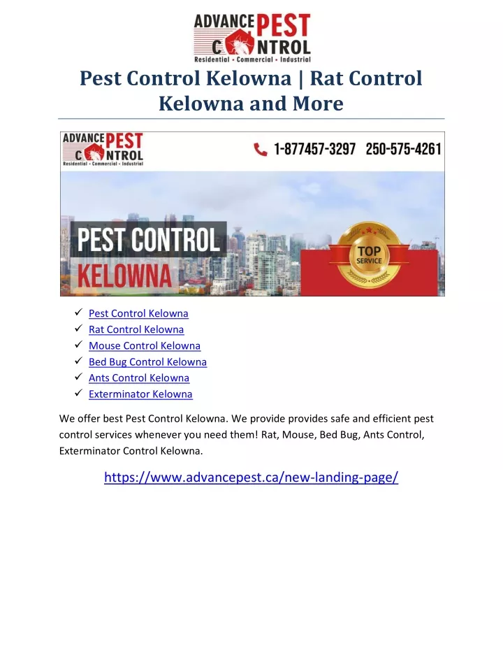 pest control kelowna rat control kelowna and more