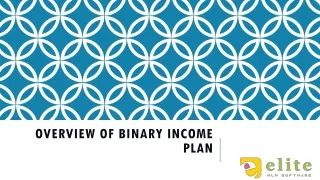 overview of binary income plan