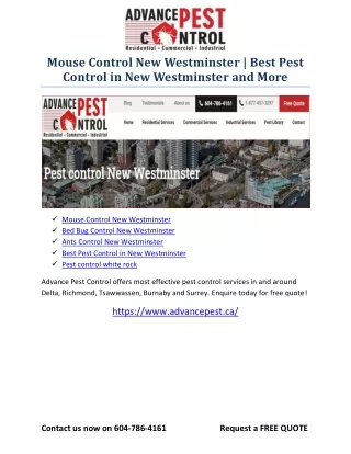 Bed Bug Control New Westminster