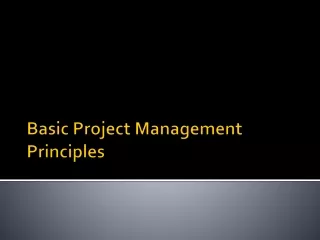 Basic Project Management Principles
