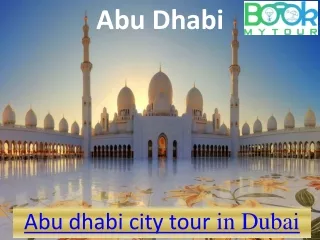 Abu dhabi day trip from dubai