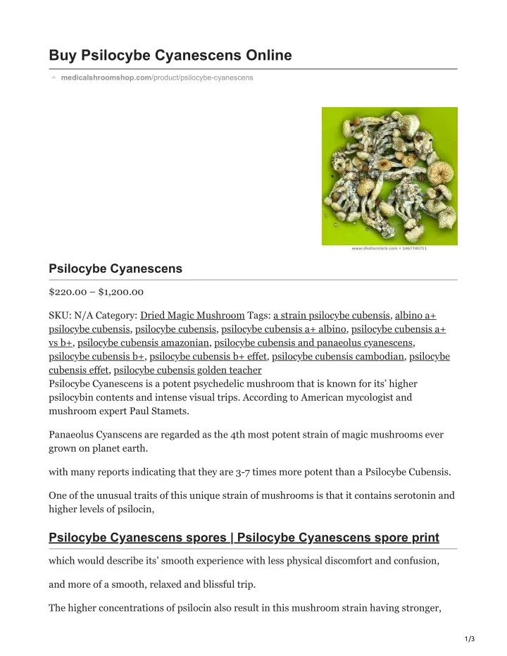 buy psilocybe cyanescens online