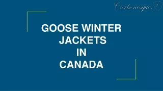 Goose Winter jackets - Carbonesque