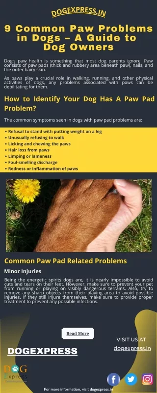 dog ex pr e s s in