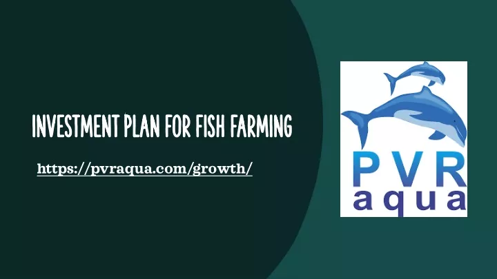 investment plan for fish farming investment plan